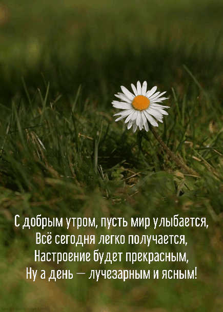 dobrogoutra_ru_10095.gif