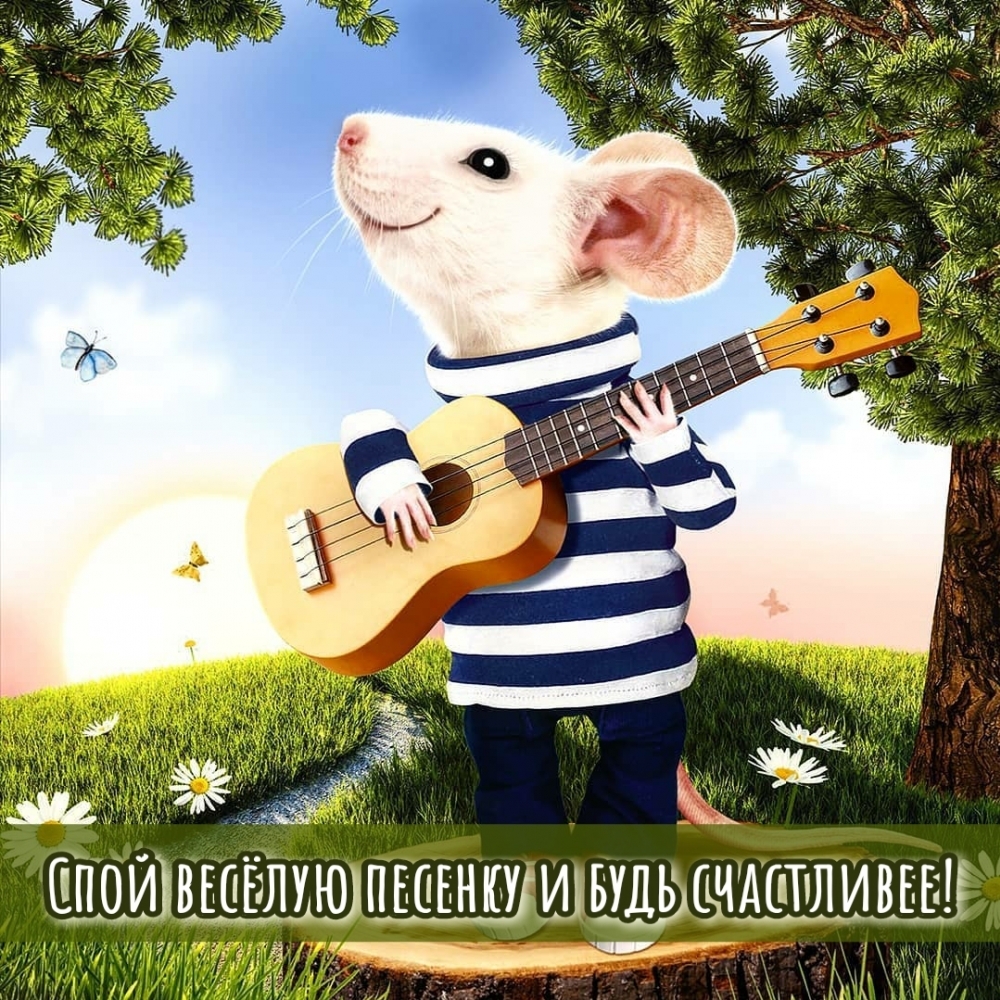 Спой веселые песенки. Мышонок с гитарой костюм. Календарь мыши с музыкальными инструментами. Постер а2 мышь с шоколадкой. Календарь мышка 295х210 мм.
