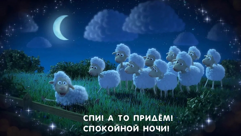 Спокойной ночи видео песни. Ночные овечки. Спокойной ночи с овечками. Спокойной ночи овца. Овечки перед сном.