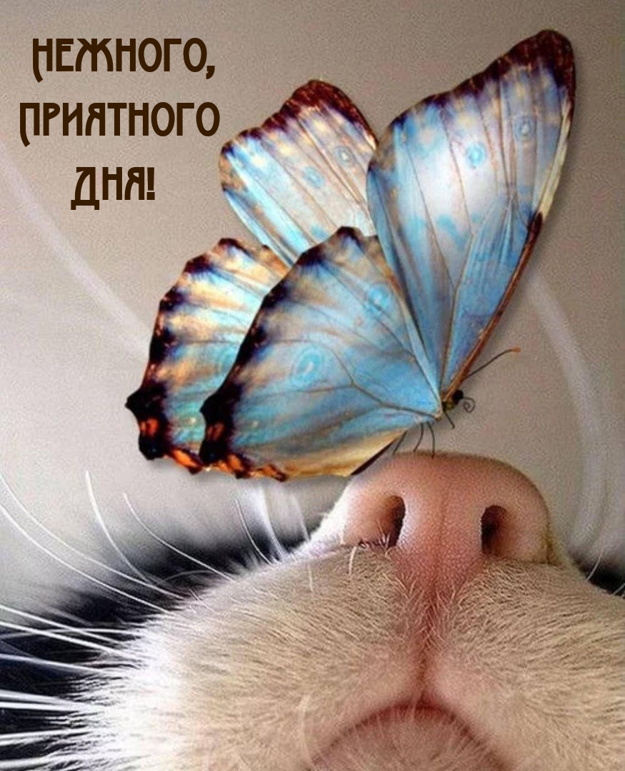 ,  !