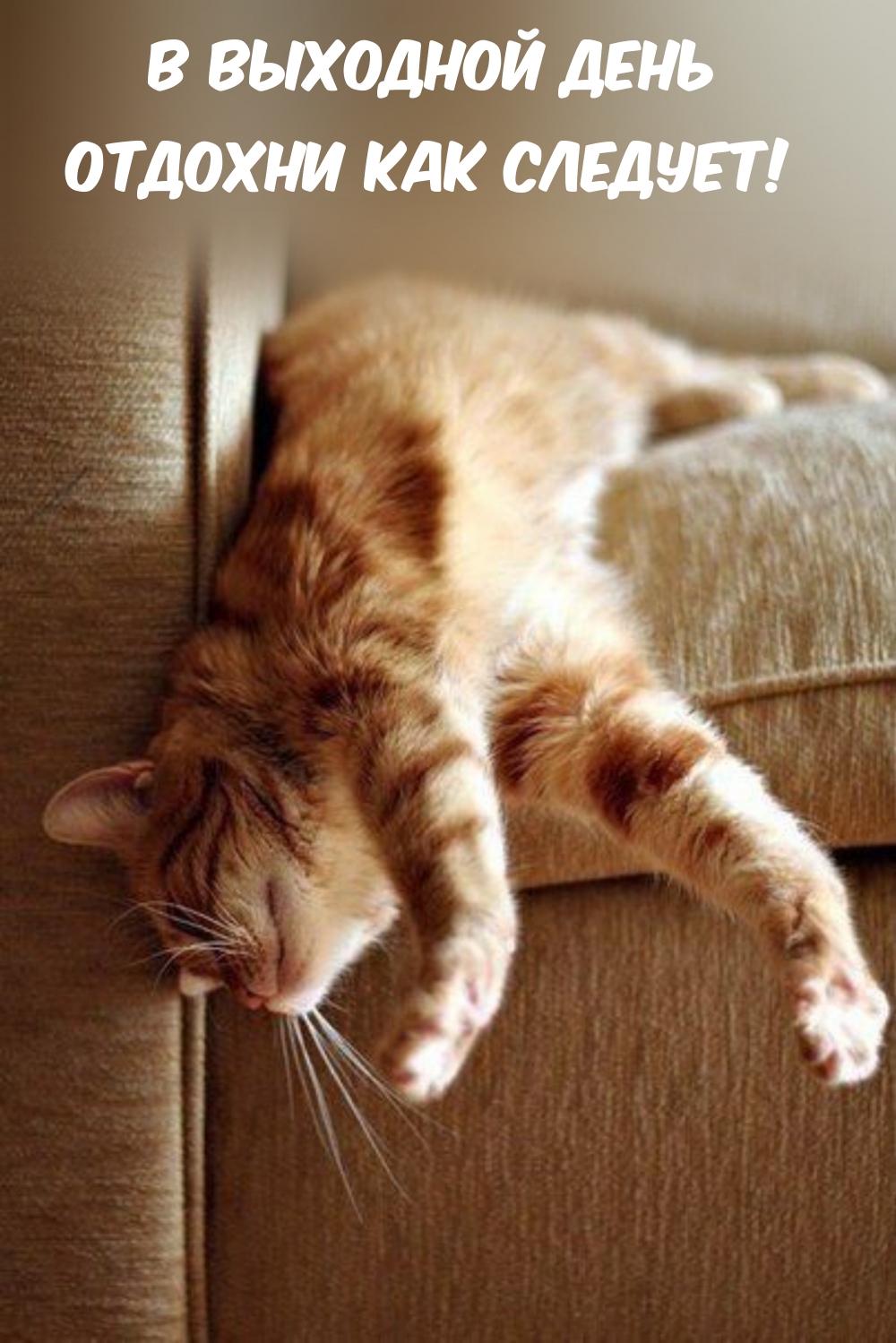 Утро котики картинки. Кот потягивается. Рыжий кот потягивается. Сонный кот. Рыжий кот на диване.