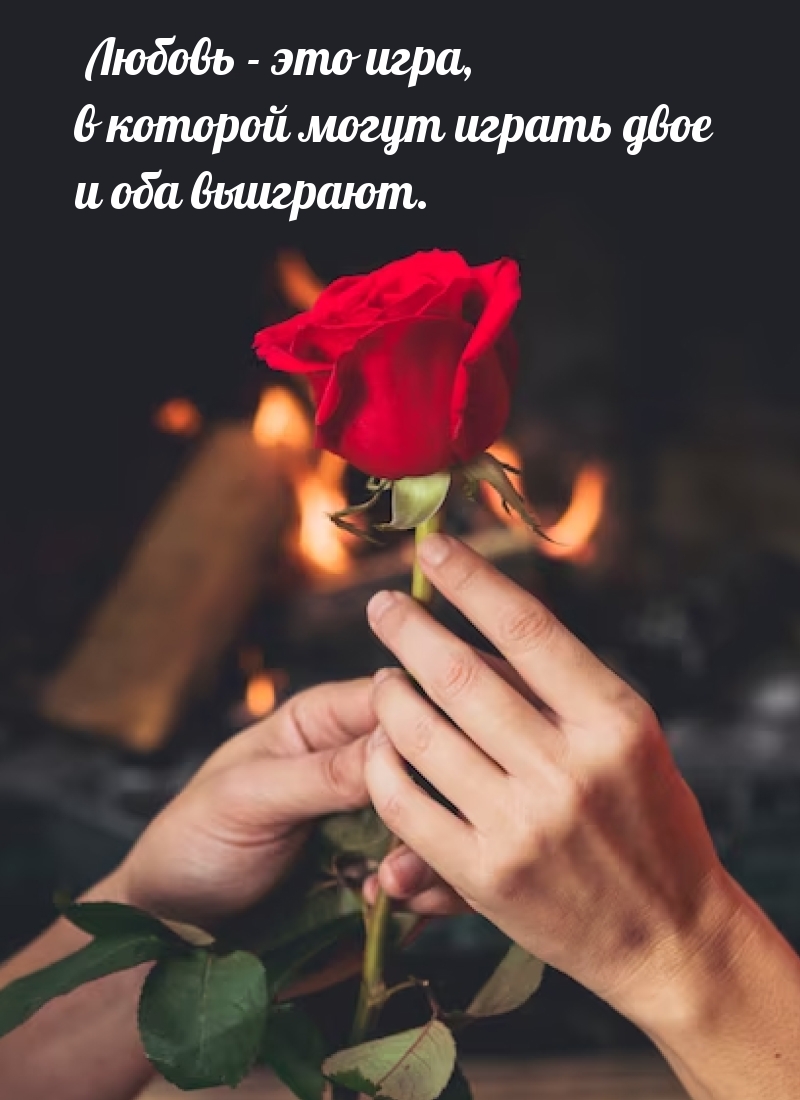 красивые картинки роза в руках