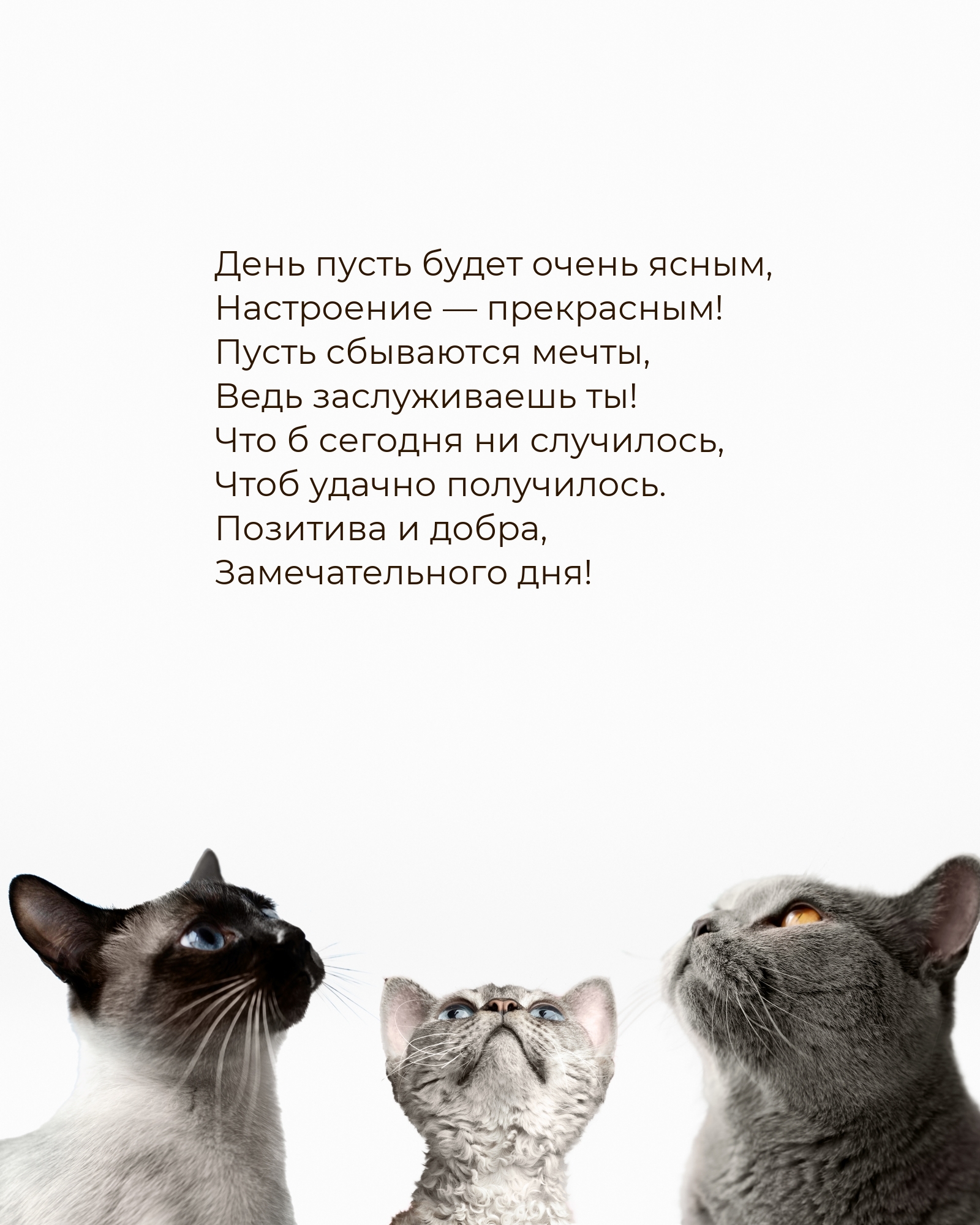 ���� ����� ����� ����� �����, ���������� � ����������!