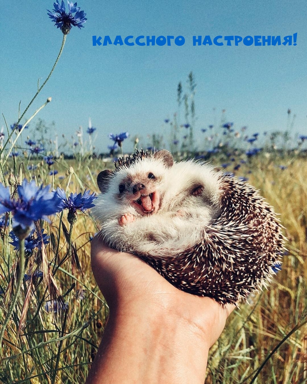 ��������� ����������!