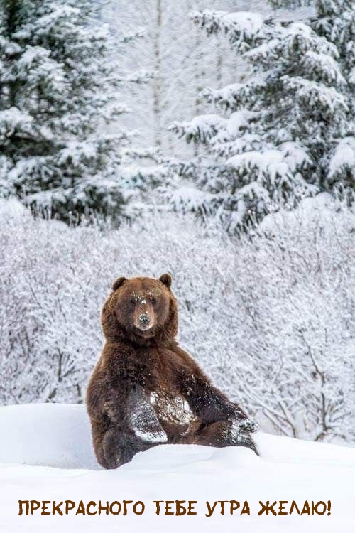 ����������� ���� ���� �����!