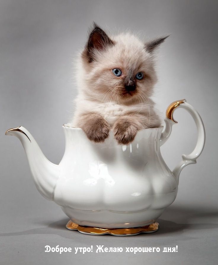 ������ ����! ����� �������� ���!