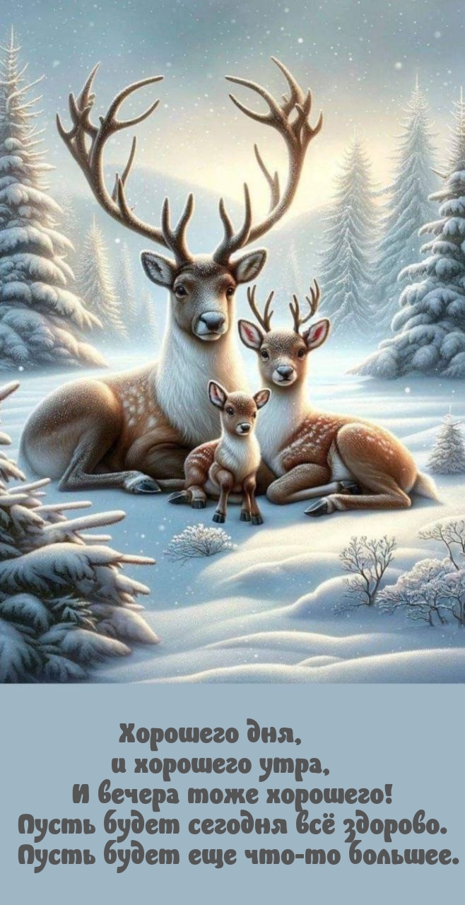 �������� ���, � �������� ����, � ������ ���� ��������!