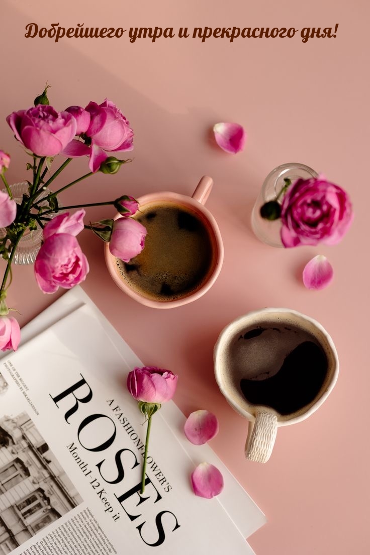 ���������� ���� � ����������� ���!