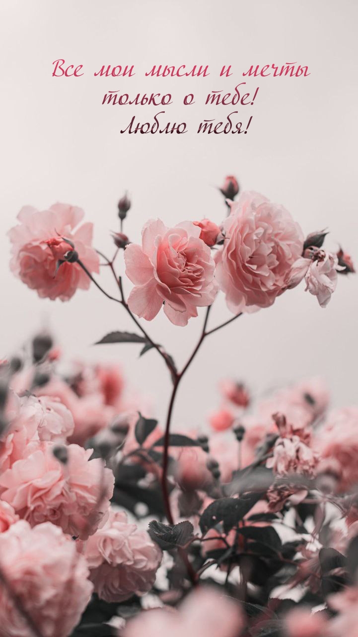 ��� ��� ����� � ����� ������ � ����! ����� ����!