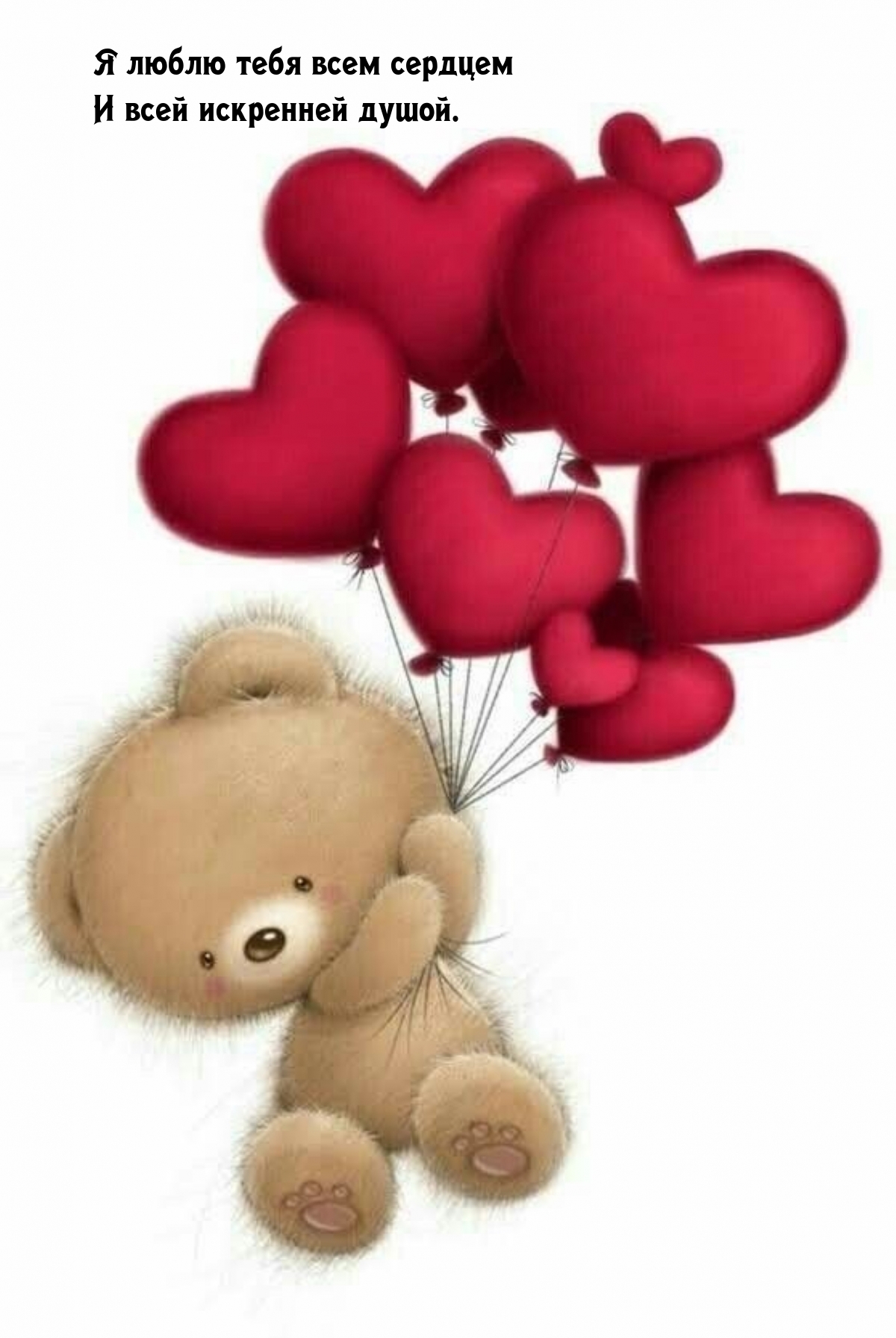 � ����� ���� ���� ������� � ���� ��������� �����.