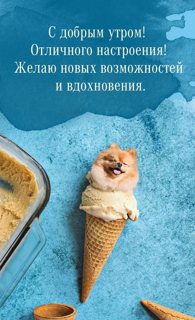 � ������ �����! ��������� ����������! ����� ����� ������������