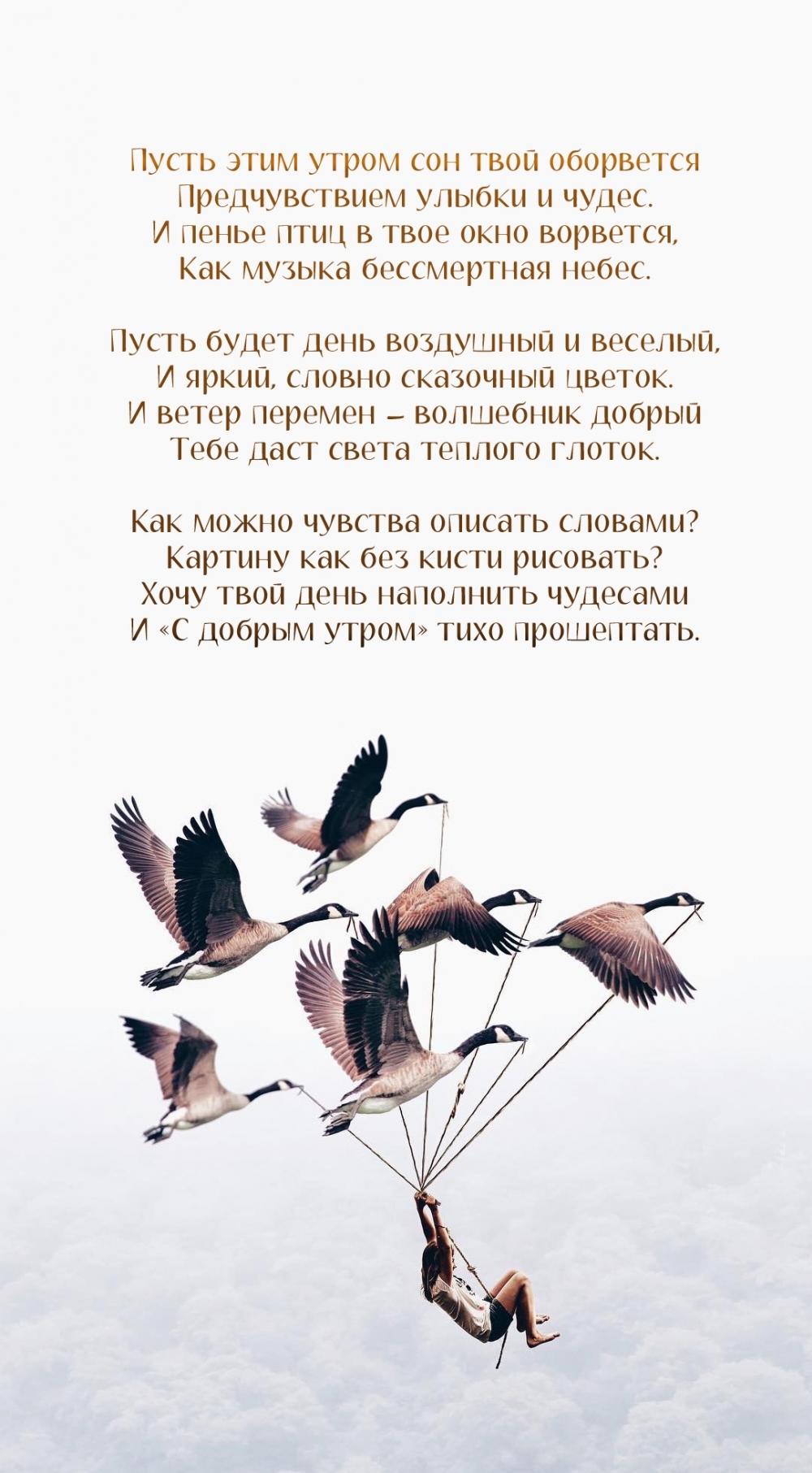 ���� ���� ��������� �������� � �� ������ ����� ���� ����������.