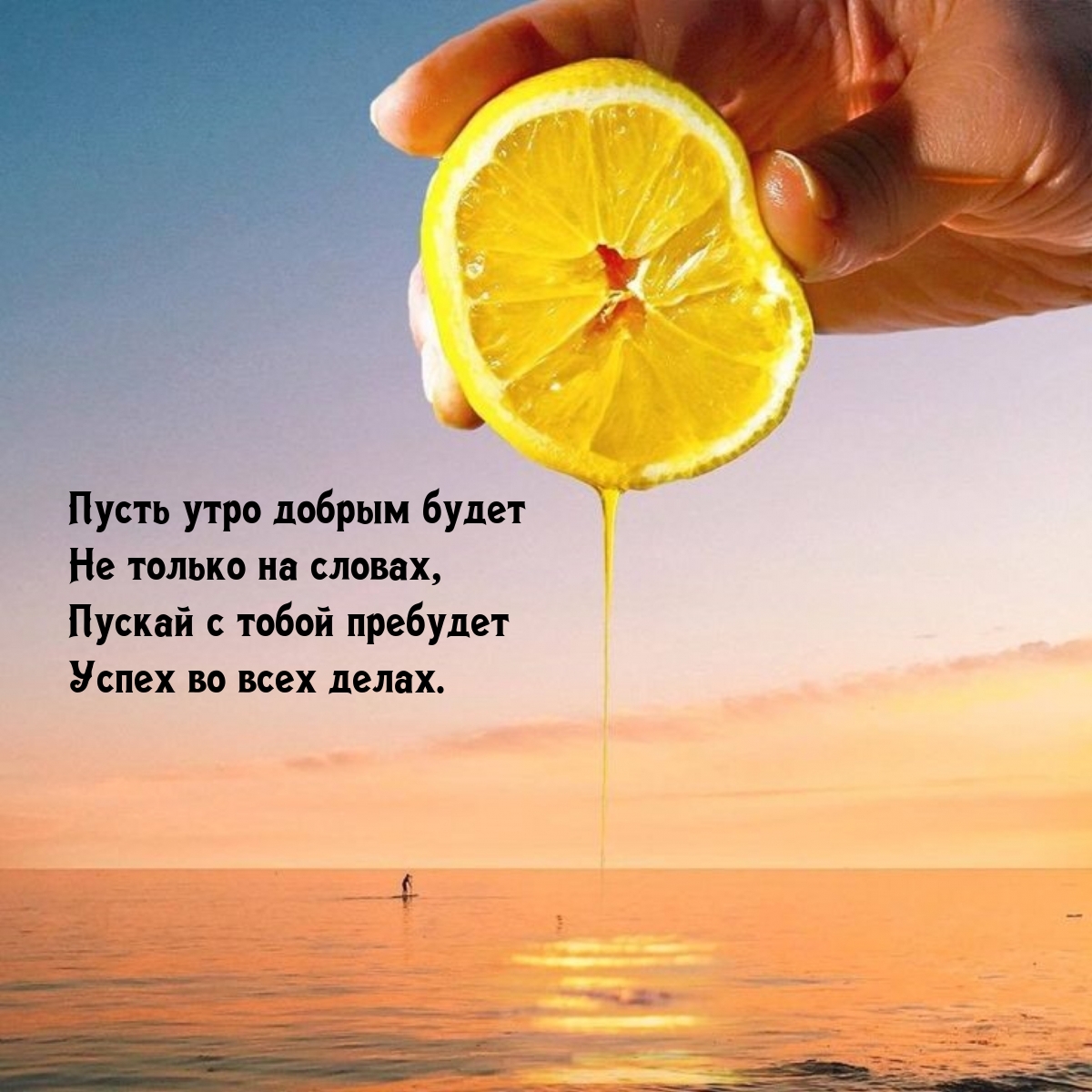 ������ � ����� �������� ����� �� ���� �����.