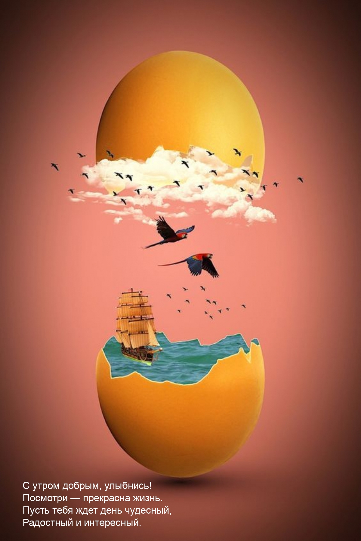 � ����� ������, ��������! �������� � ��������� �����.