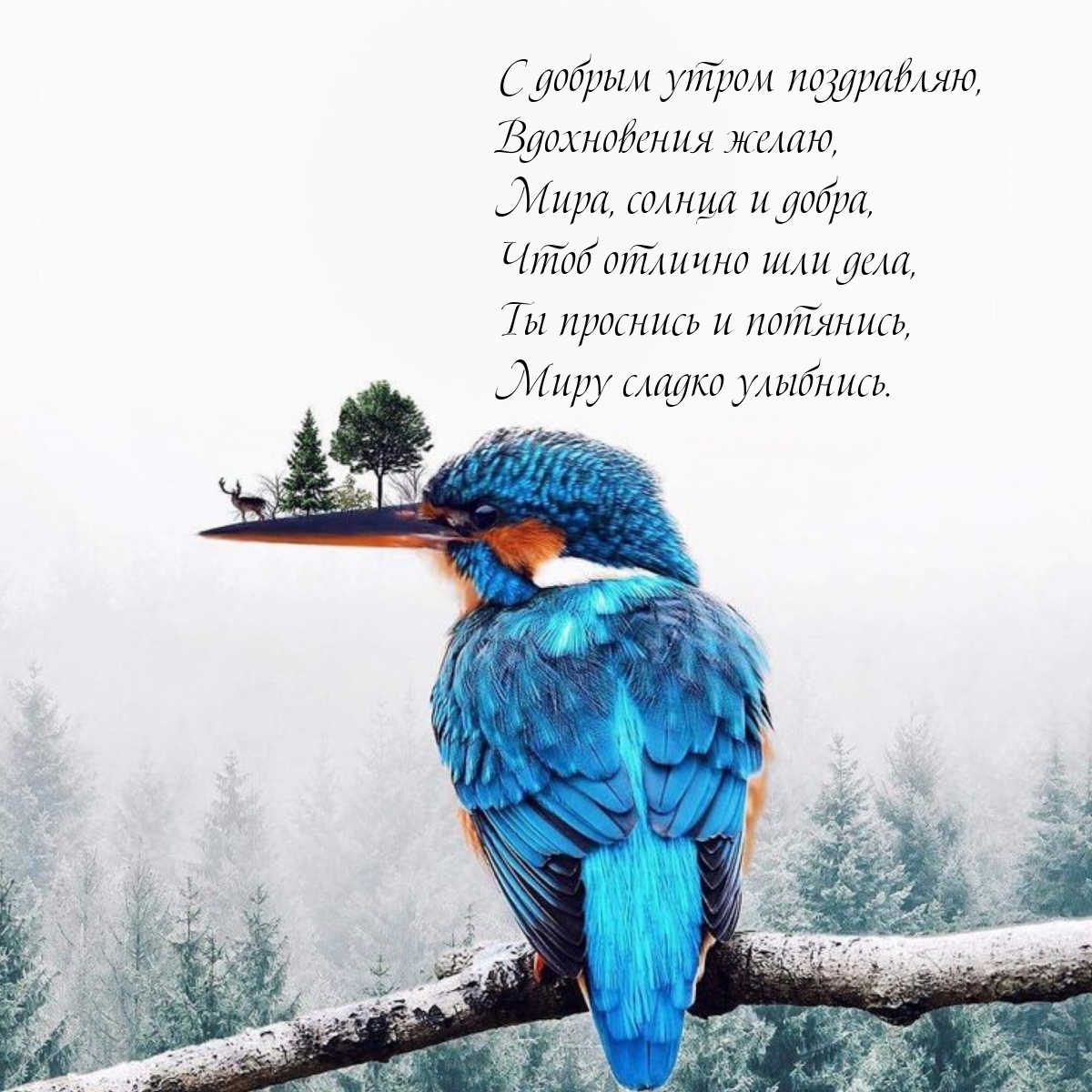 � ������ ����� ����������, ����������� �����