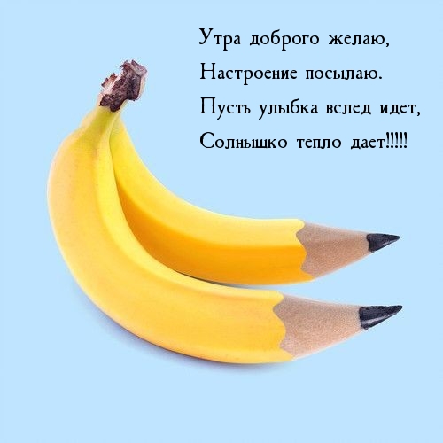 ���� ������� �����, ���������� �������.