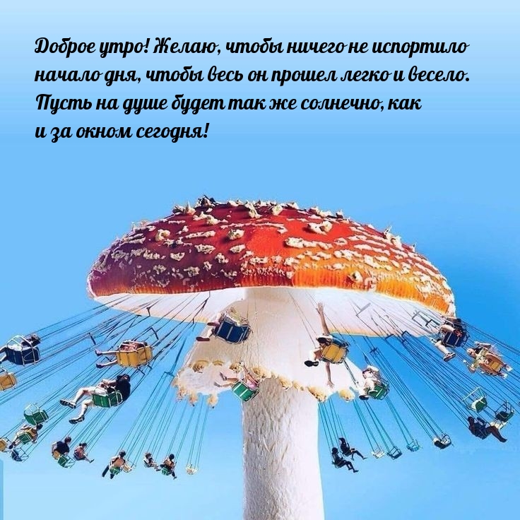 ������ ����! �����, ����� ������ �� ��������� ������ ���