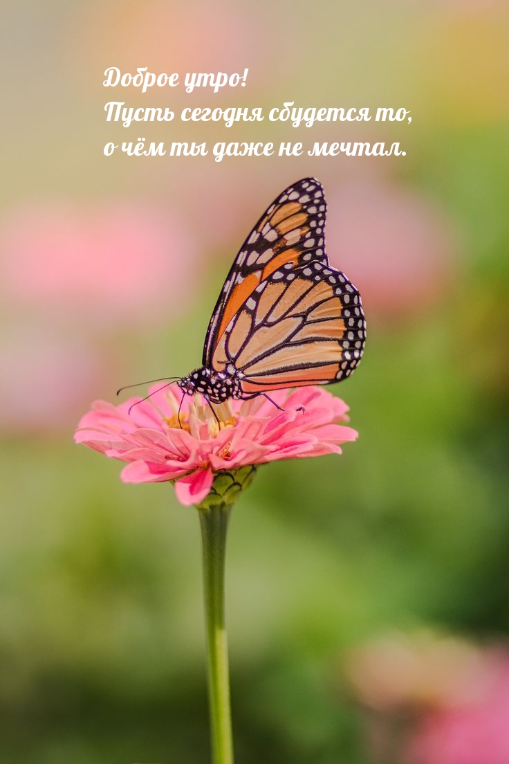 ����� ������� �������� ��, � ��� �� ���� �� ������.