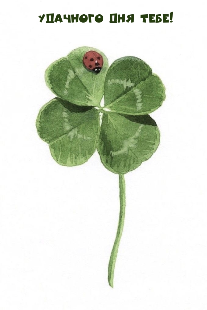 �������� ��� ����!