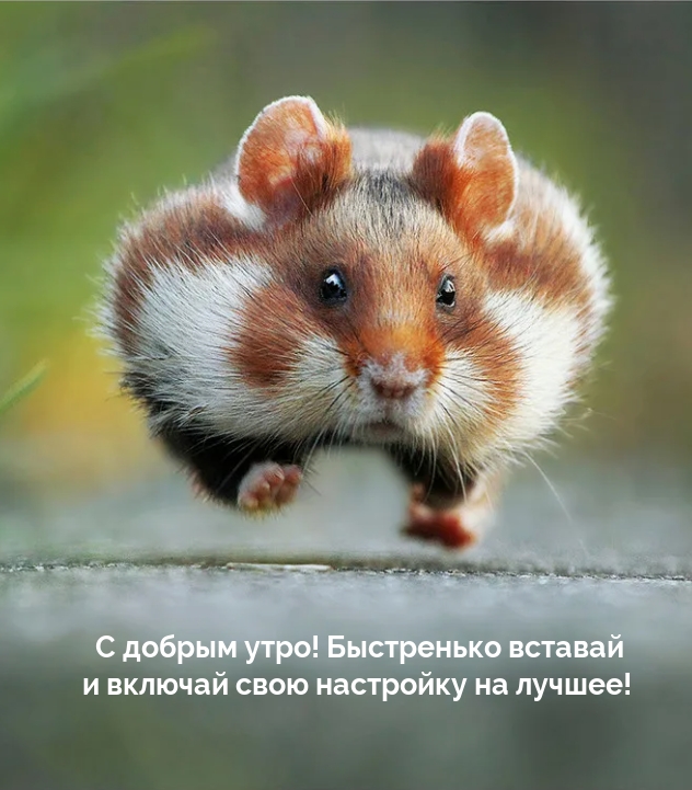 � ������ ����! ������� � ������� ���� ��������� �� ������!