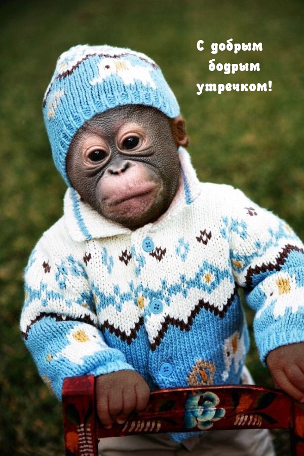 � ������ ������ ��������!