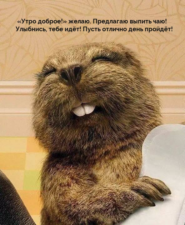 ����� ������!� �����. ��������� ������ ���!