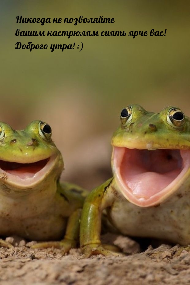 ������� �� ���������� ��������� ����� ���� ���! ������� ����! :)