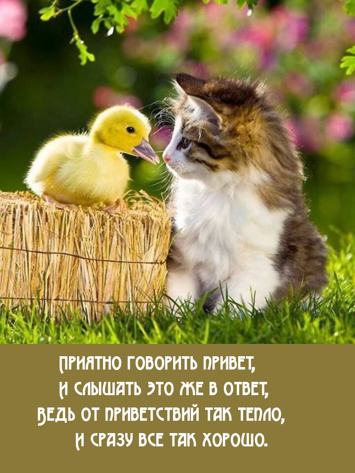 ������� �������� ������, � ������� ��� �� � �����