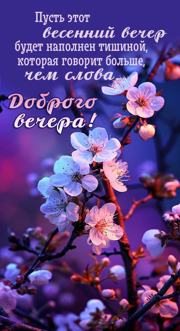       ,   ,  