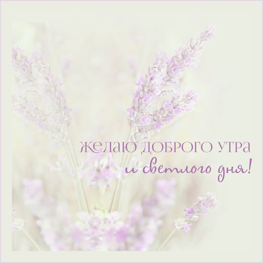 ����� ������� ���� � �������� ���!