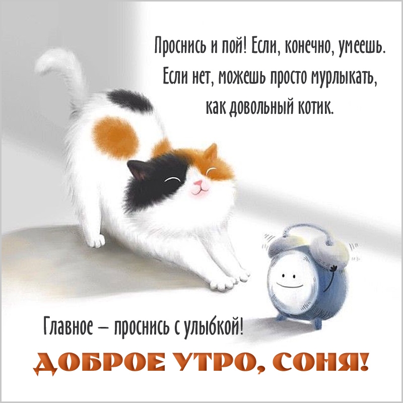   ! , , , )