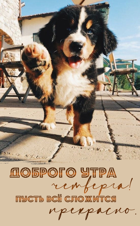   !    .