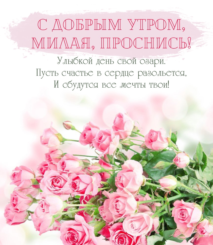 � ������ �����, �����, ��������! �������� ������