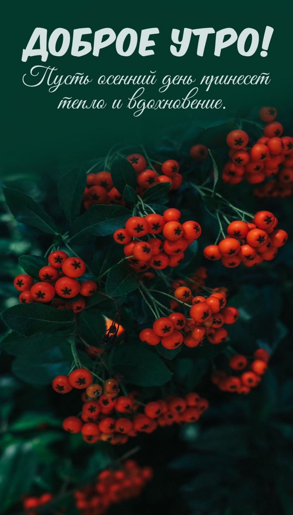 ����� ������� ���� �������� ����� � �����������.  