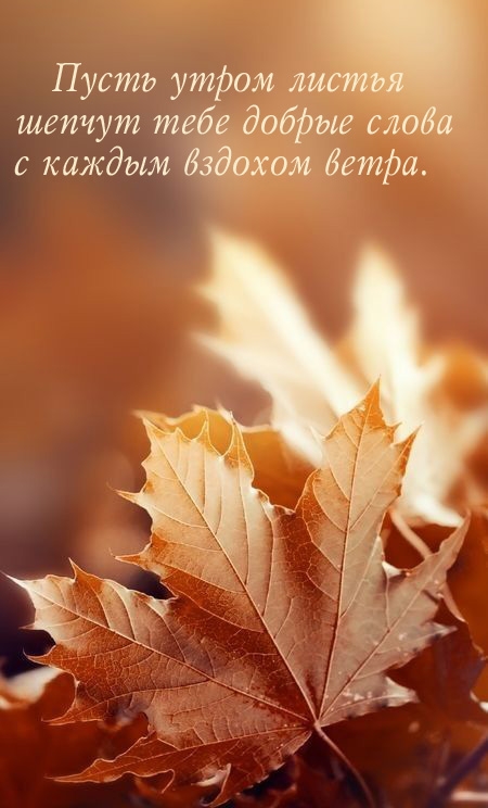 ����� ����� ������ ������ ���� ������ �����