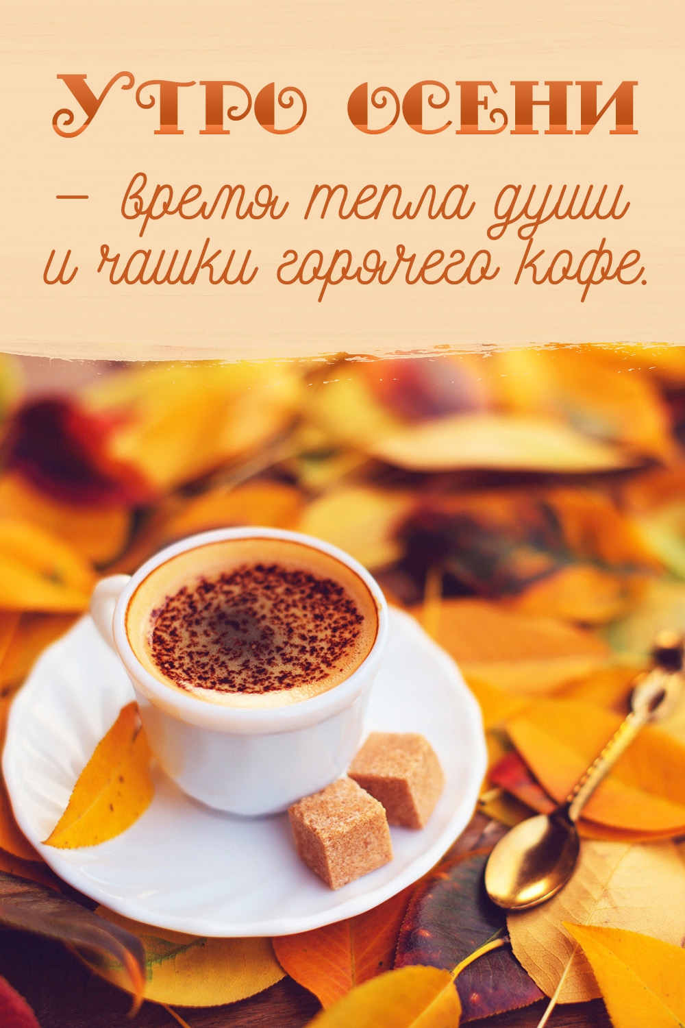 ���� ����� � ����� ����� ���� � ����� �������� ����.