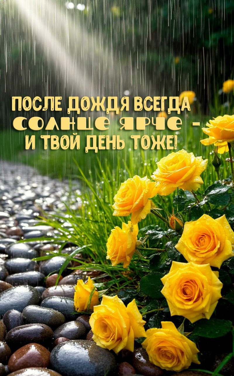 ����� ����� ������ ������ ���� � � ���� ���� ����!