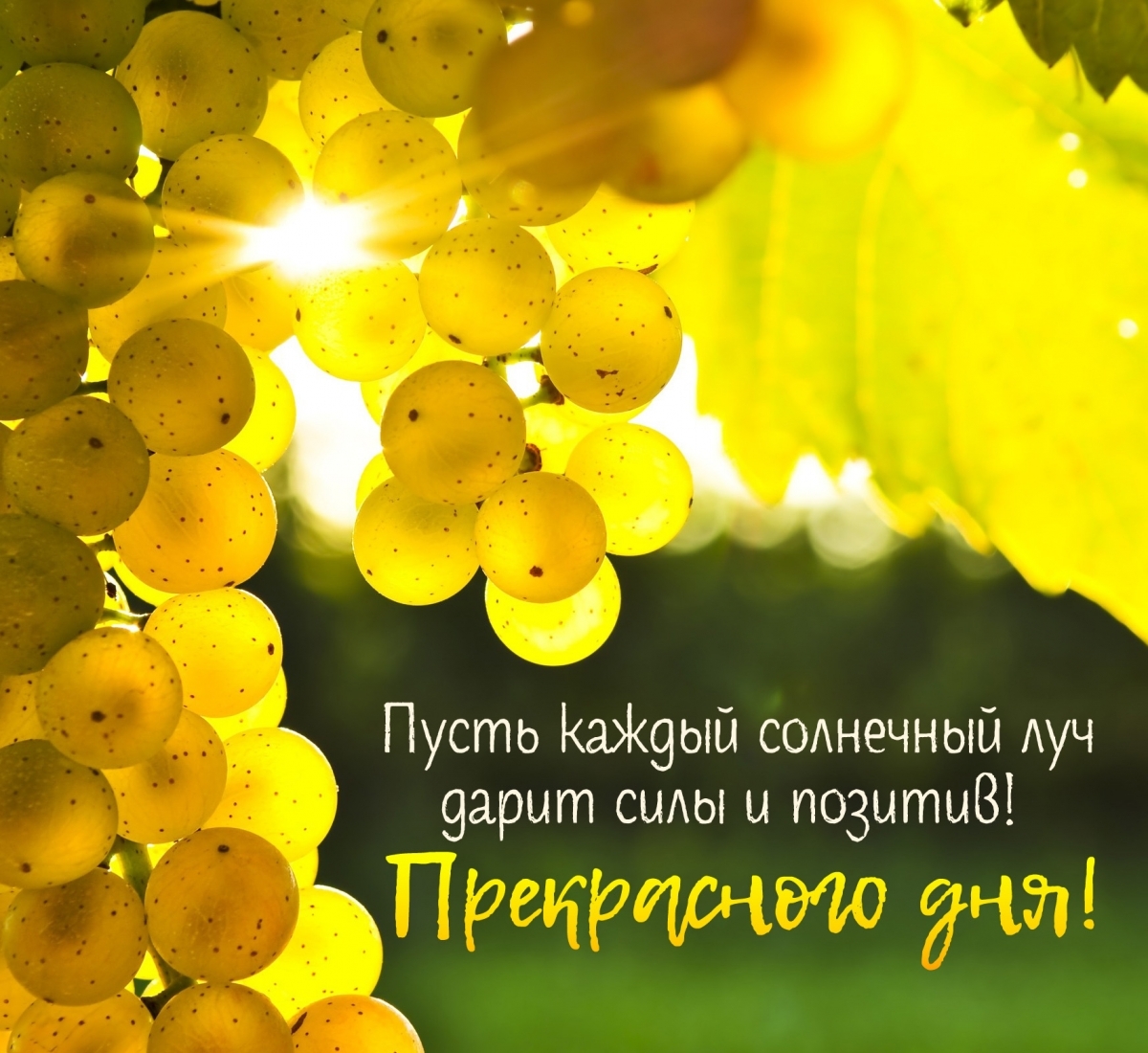 ����� ������ ��������� ��� ����� ���� � �������!