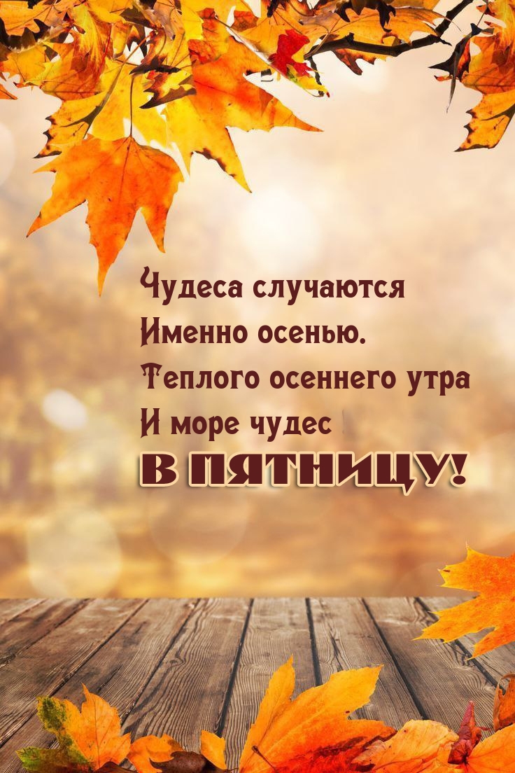 ���� ����� � �������