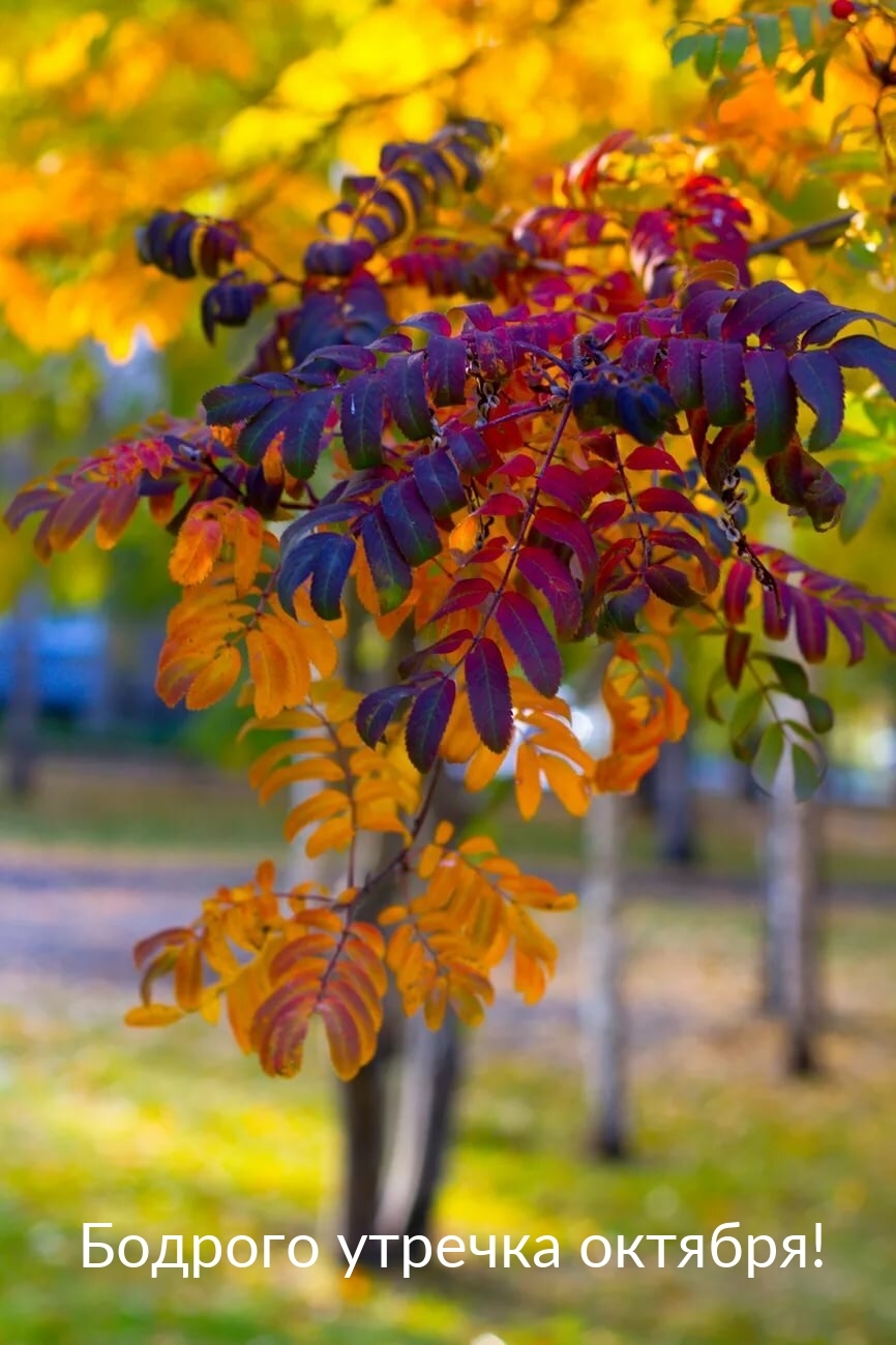 ��������� ������ ������� �������