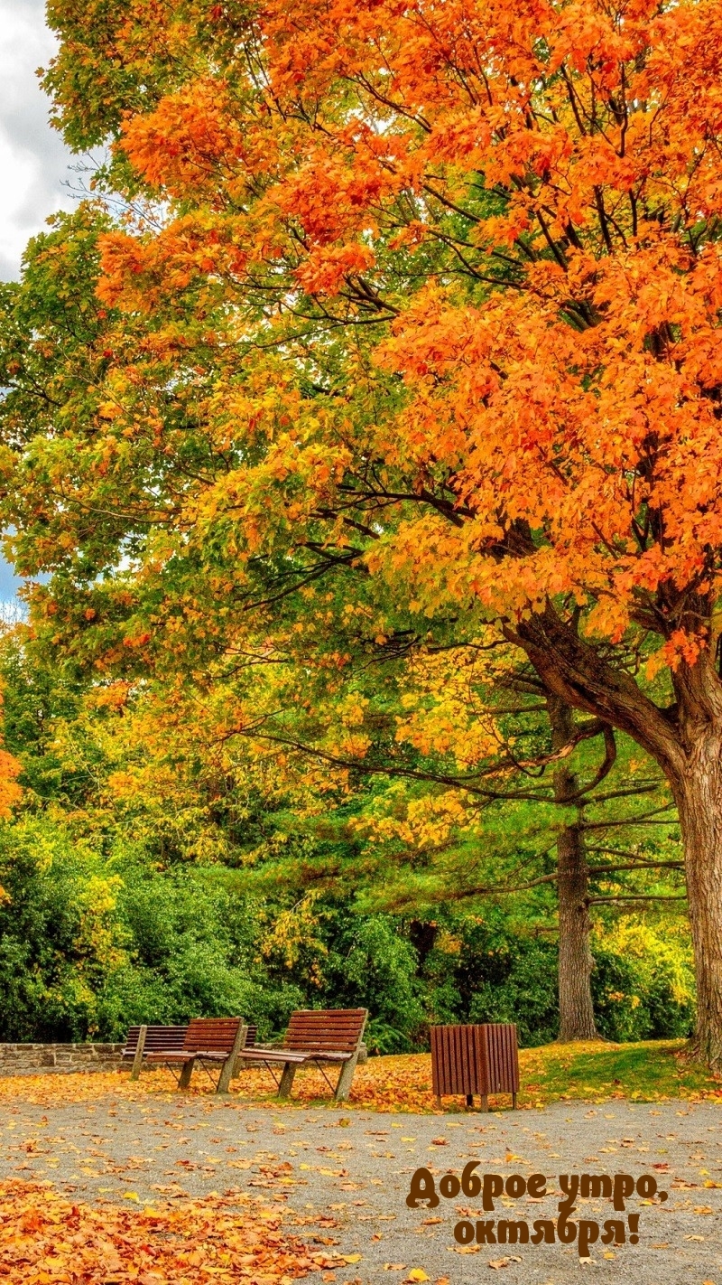 ���������� ���� �������