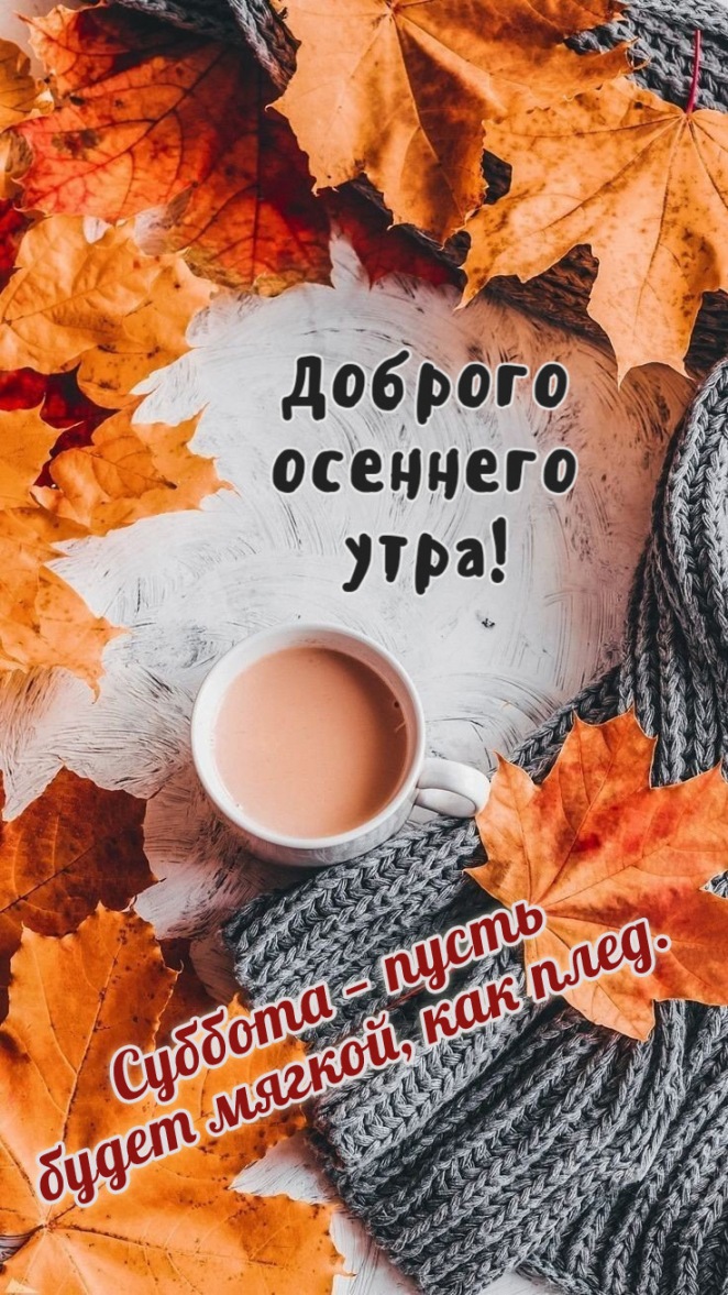 Суббота — пусть будет мягкой, как плед. Суббота — пусть будет мягкой, как плед.