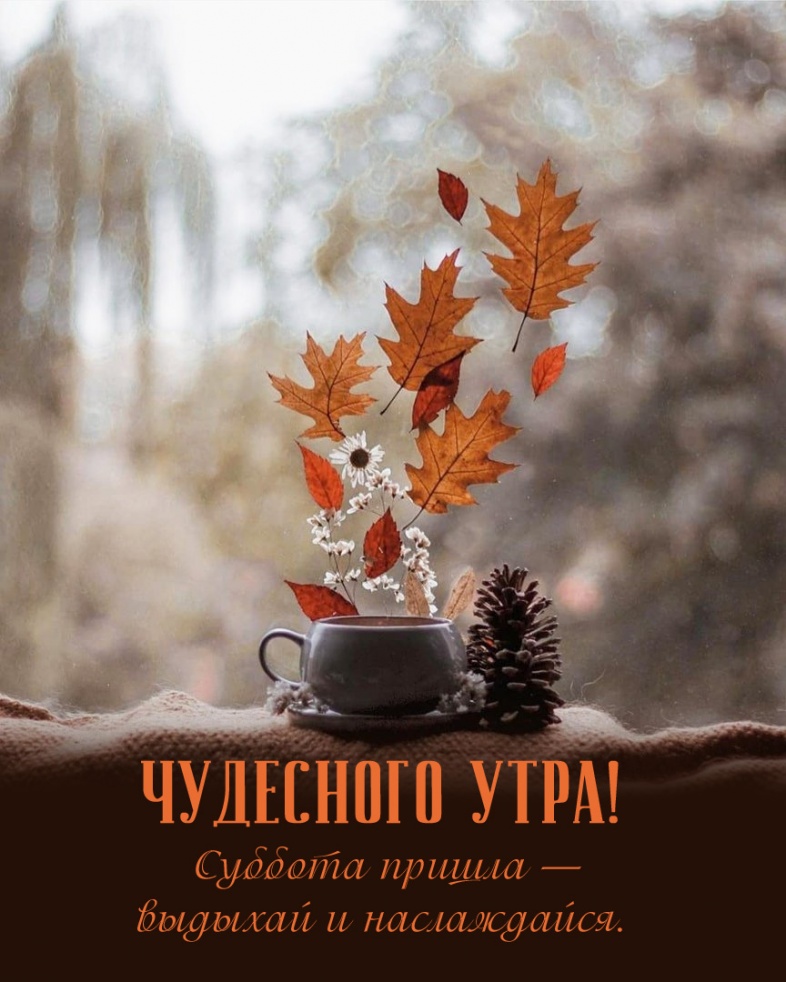 Суббота пришла — выдыхай и наслаждайся. Суббота пришла — выдыхай и наслаждайся.