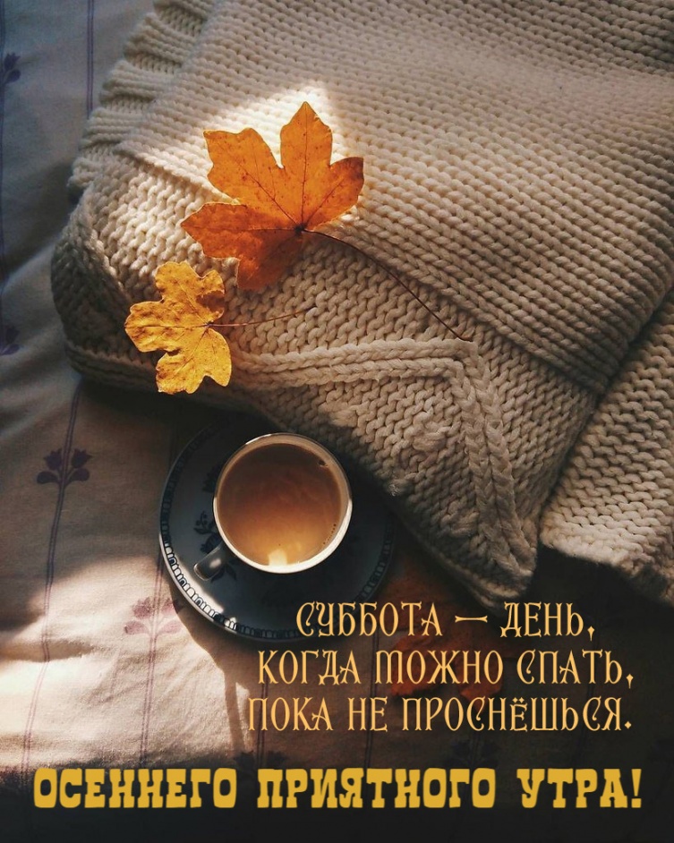 Суббота — день, когда можно спать, пока не проснёшься. Суббота — день, когда можно спать, пока не проснёшься.