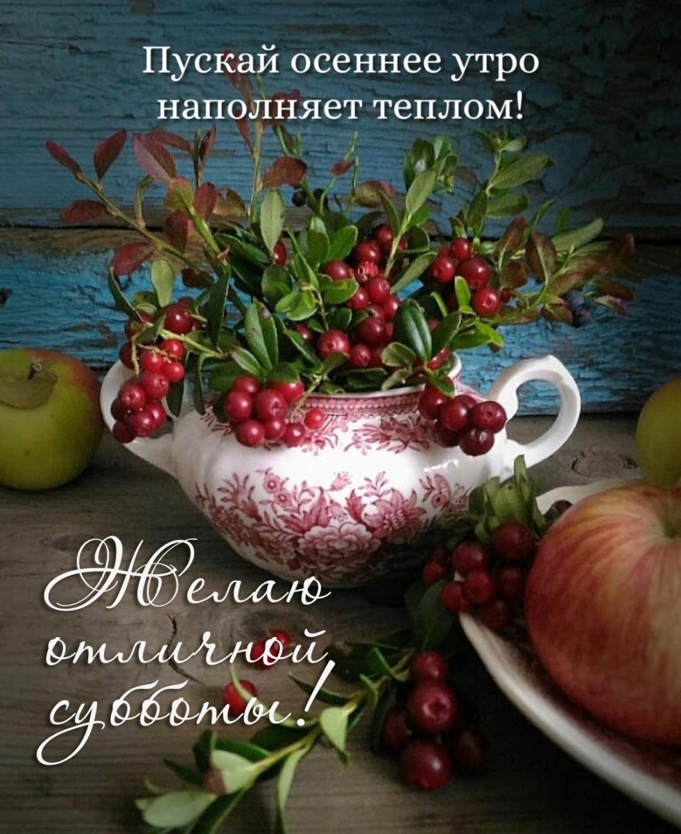 Отличной суююоты Отличной суююоты