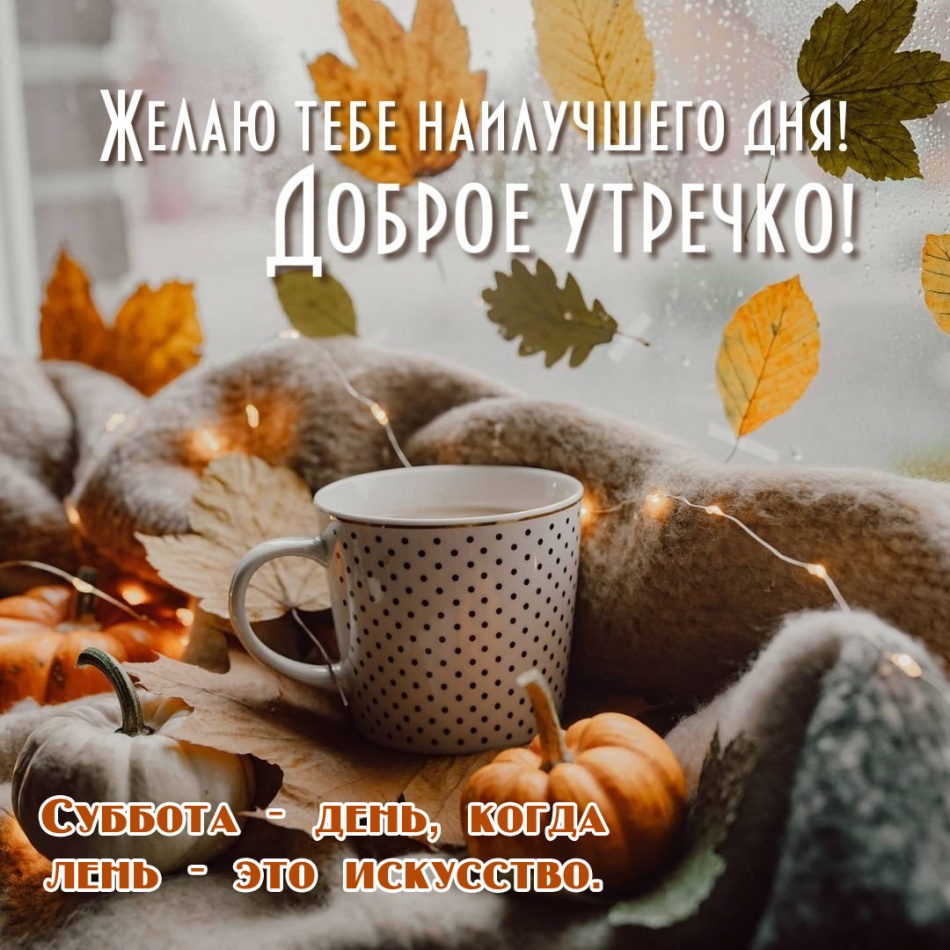 Суббота — день, когда лень — это искусство. Суббота — день, когда лень — это искусство.