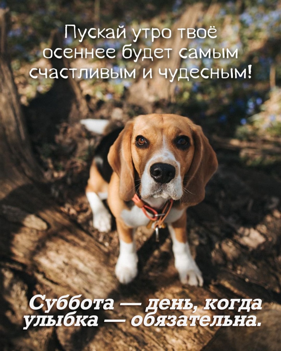 Суббота — день, когда улыбка — обязательна. Суббота — день, когда улыбка — обязательна.