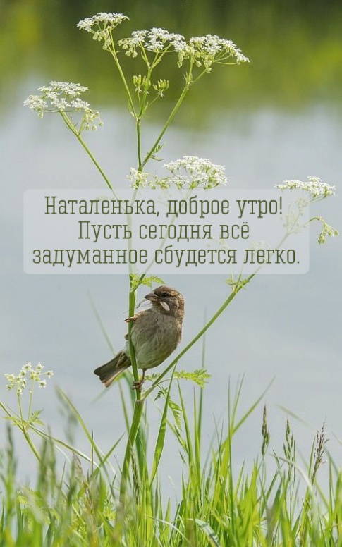 ����� ������� �� ���������� �������� �����.