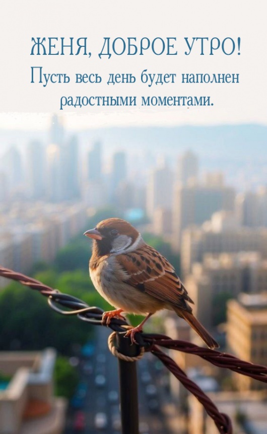 ����� ���� ���� ����� �������� ���������� ���������.