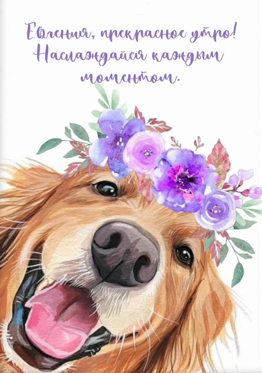 ����������� ������ ��������.